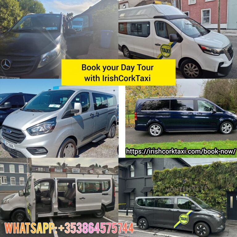 Day Tour Minibuses
